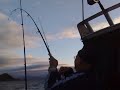 Snapper Fishing Hauraki Gulf NZ Ian & Riaan du Plessis