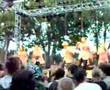 Tokyo Ska Paradise Orchestra