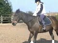 horse-riding.html