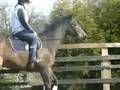 Horse Riding