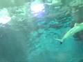 水族館(エプソン品川アクアスタジアム)