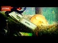 ver trabalho Stihl - A Gama Mais Completa de Motosserras