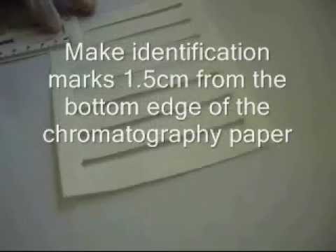 how to isolate amino acids