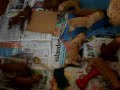 ehu litter 103109