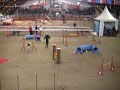 Yashin Jumping Voghera 040109