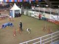 videos de Yashin Jumping Voghera 040109