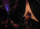tapijtconcert Tom Vanstiphout