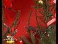 Blumen zur Weihnachtszeit und Winterzeit