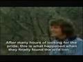 Christian The Lion - Reunited - From The View