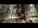 natural paintball cl
