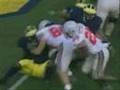 Ohio State vs LSU BCS National Championship Game