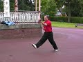 Xing Yi Demo by Master Tary Yip, Student of Li Deyin
