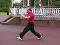 Xing Yi Demo by Master Tary Yip, Student of Li Deyin