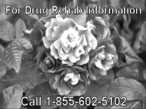 Revolutionary Residential Alcohol Rehab Near Novato