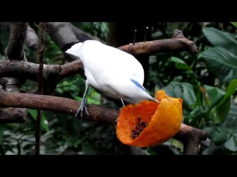 how to test hd performance