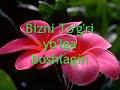 Aqida o'rganamiz
