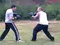 gloscat boxing 3 gloscat boxing 3