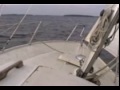 H�stsegling med Albin Viggen