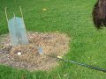 Golf rules demystified - finding the nearest point of relief