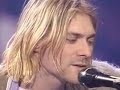 The Man Who Sold the World Solo (Nirvana Cover) The Man Who Sold the World Solo (Nirvana Cover)