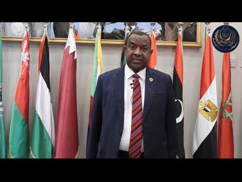 معالى السÙير الدكتور/ كمال ØØ³Ù† على الامين العام المساعد للشئون الاقتصادية