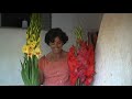FLORES -AGRICULTURA FAMILIAR -ANGÉLICA - FORMIGA - MG