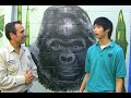 Gorillas at the San Diego Zoo