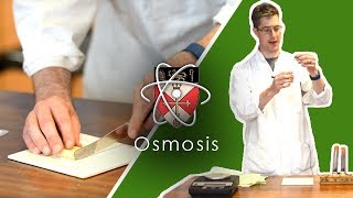 Osmosis