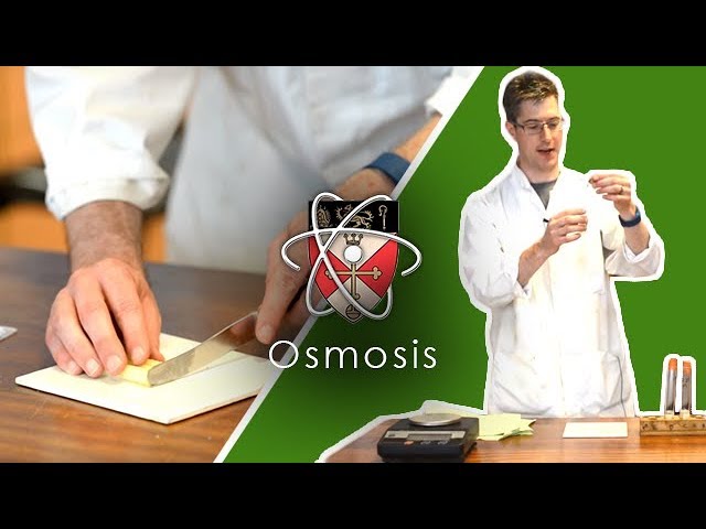 Osmosis