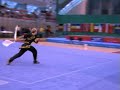 european wushu championships 2008