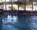 Staffetta 4x50sl Imola 11mag08 Staffetta 4x50sl Imola 11mag08