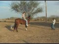 AJ(reg name The Far Side,for sale!) Mom roping kid,lol! AJ(reg name The Far Side,for sale!) Mom roping kid,lol!