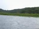 Road Trip En Guyane Avec Les Colocs