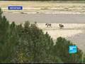 Entre Islamabad et Peshawar-Reporters-FR-FRANCE24