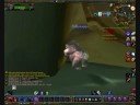 The funny bear video The funny bear video