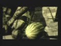 Metal Gear Solid 4 brothers in arms