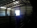 Murray At Horse Camp - PART 1