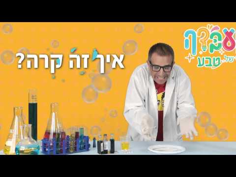 כוכב החלב, מרץ 2015