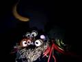 Streit im Nest - Stop Motion