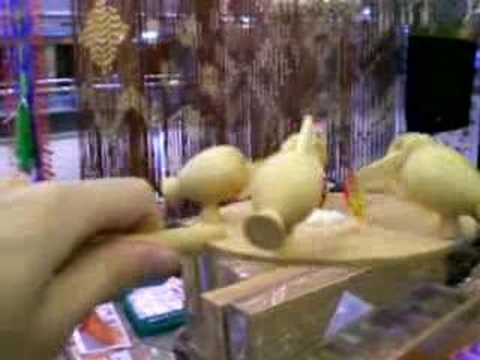 how to dissolve bezoars