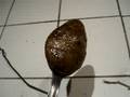 Hash-Oil