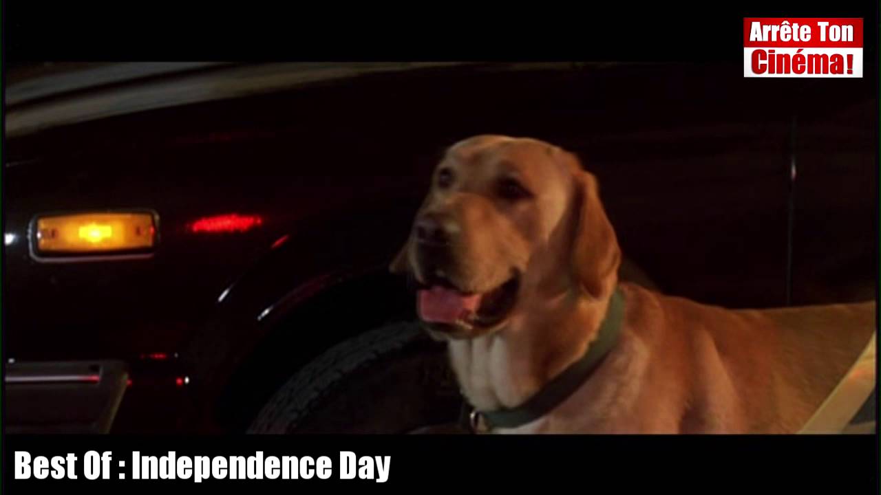 Independence Day: Who Starred in the Classic Hit? - TVovermind