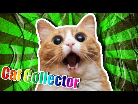 Virtual Cat Collecting Simulator 2000 | Super Mega Random Game