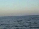 Mid Pacific Ocean Swim