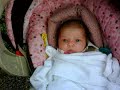 eden rose, july 19 2008
