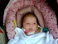 eden rose, july 19 2008