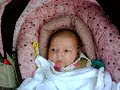 eden rose, july 19 2008