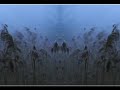 Forseti - Abendrot Forseti - Abendrot