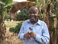 Cacao farmers in Cameroon are seeking to rejuvenate their beleaguered industry with a new generation of plants which grow faster and produce more beans. Duration: 01:46