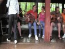 video clips from our most recent family reunion, july 4-5, 2008.
the pickers are:
steve bistrow (my dad) electric guitar
steve mullins (my uncle) lead vocals, rhythm guitar
scotty cox (my 3rd cousin) back-up vocals, rhythm guitar
dana armstrong (me) back-up vocals and camera lady
laura mullins (my uncle's wife) back-up vocals
john armstrong (my hubby) camera man